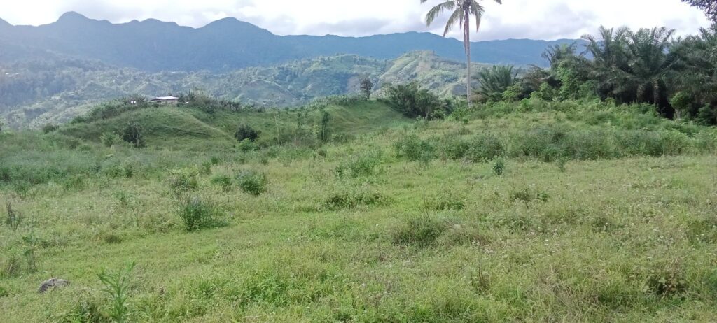 Embracing Cultural Heritage, Building Sustainable Communities